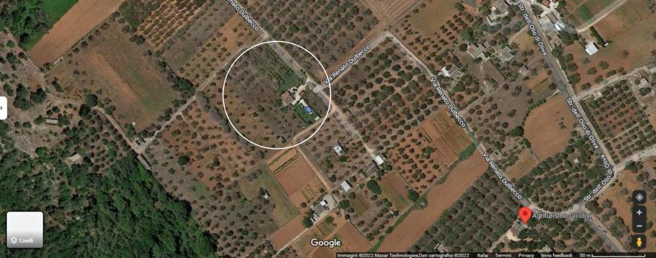 Villa Piana - Con Piscina e Giardino privato nel Salento Tricase Esterno foto